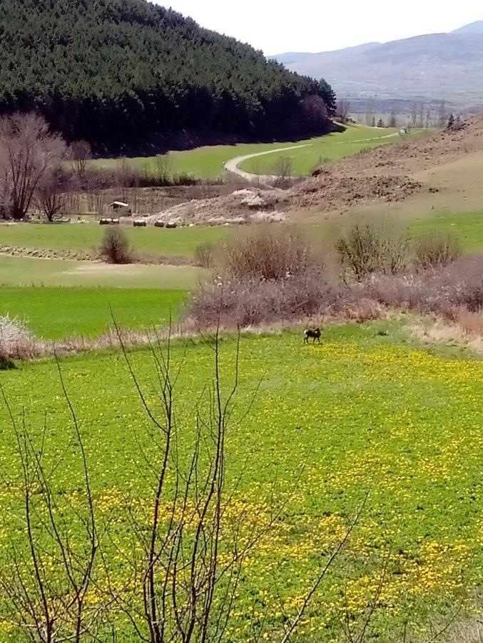 Chalet De Llivia Estavar Εξωτερικό φωτογραφία